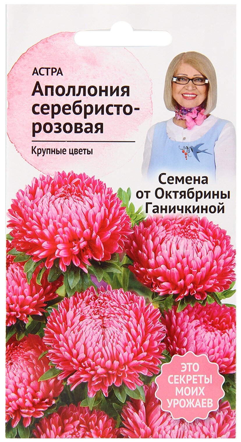 Астра Аполлония серебристо-розовая 0,2 г / семена однолетних цветов для сада / однолетние цветы для балкона в грунт /