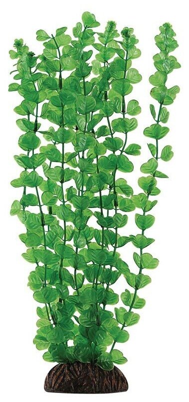 Laguna растение "Бакопа" 50 см, Зеленый