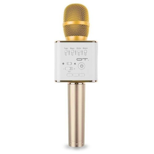 Орбита OT-ERM05 Черный микрофон Bluetooth динамики USB 104500₽