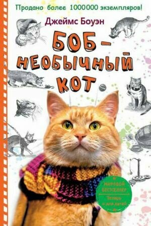 Боб-необычный кот (Боуэн Дж.)