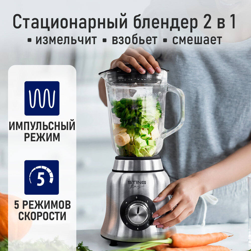 Блендер стационарный STINGRAY ST-KP2202C черный/сталь — фото 1