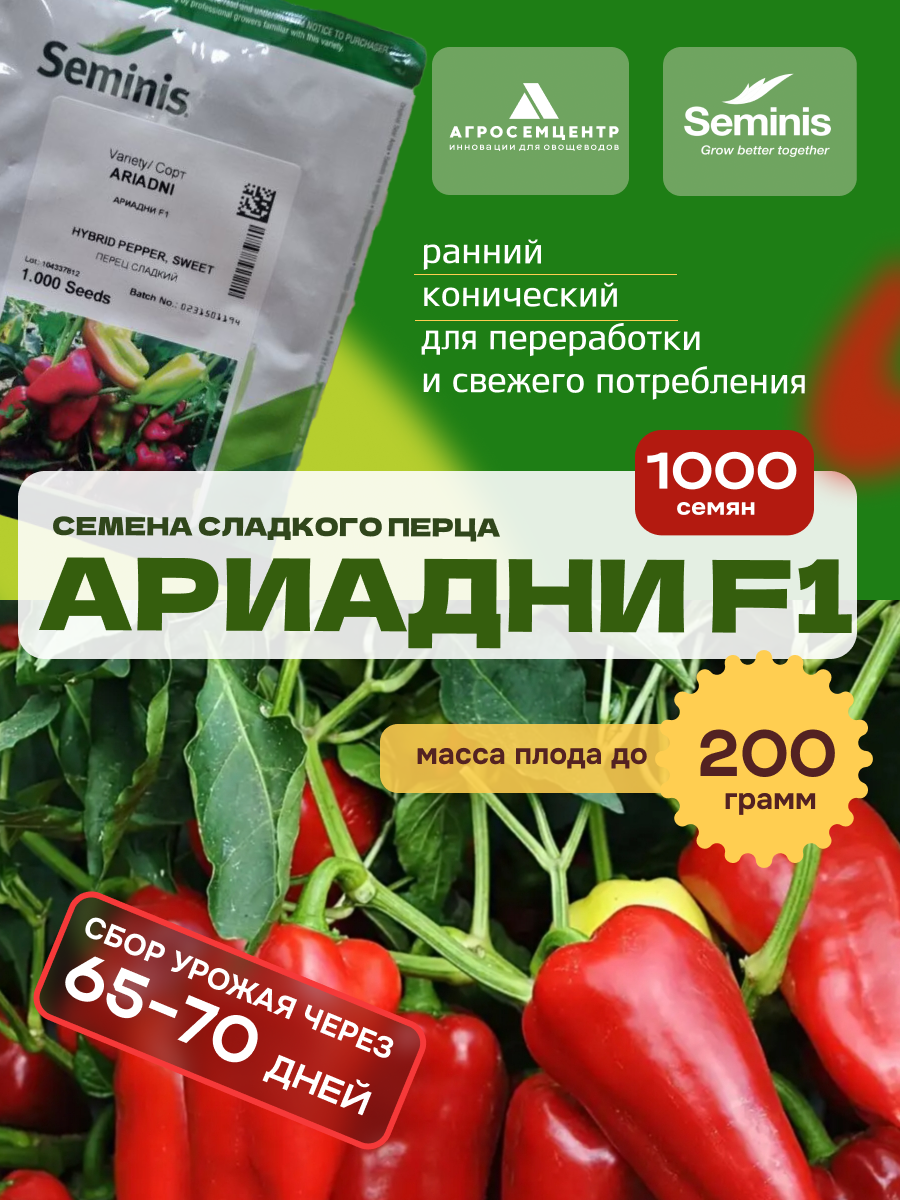 Семена перца Seminis 