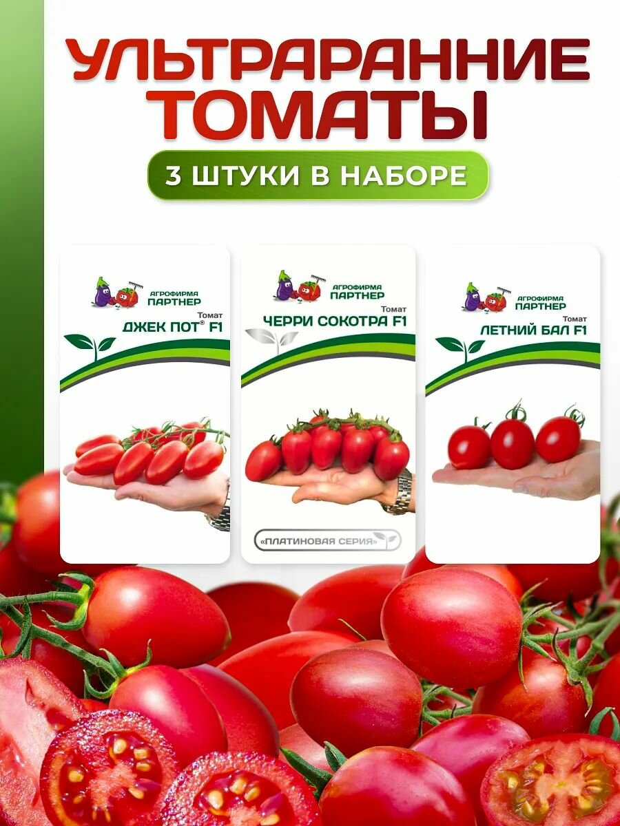 Набор семян: Ультраранние томаты - Летний бал Джек пот Сокотра