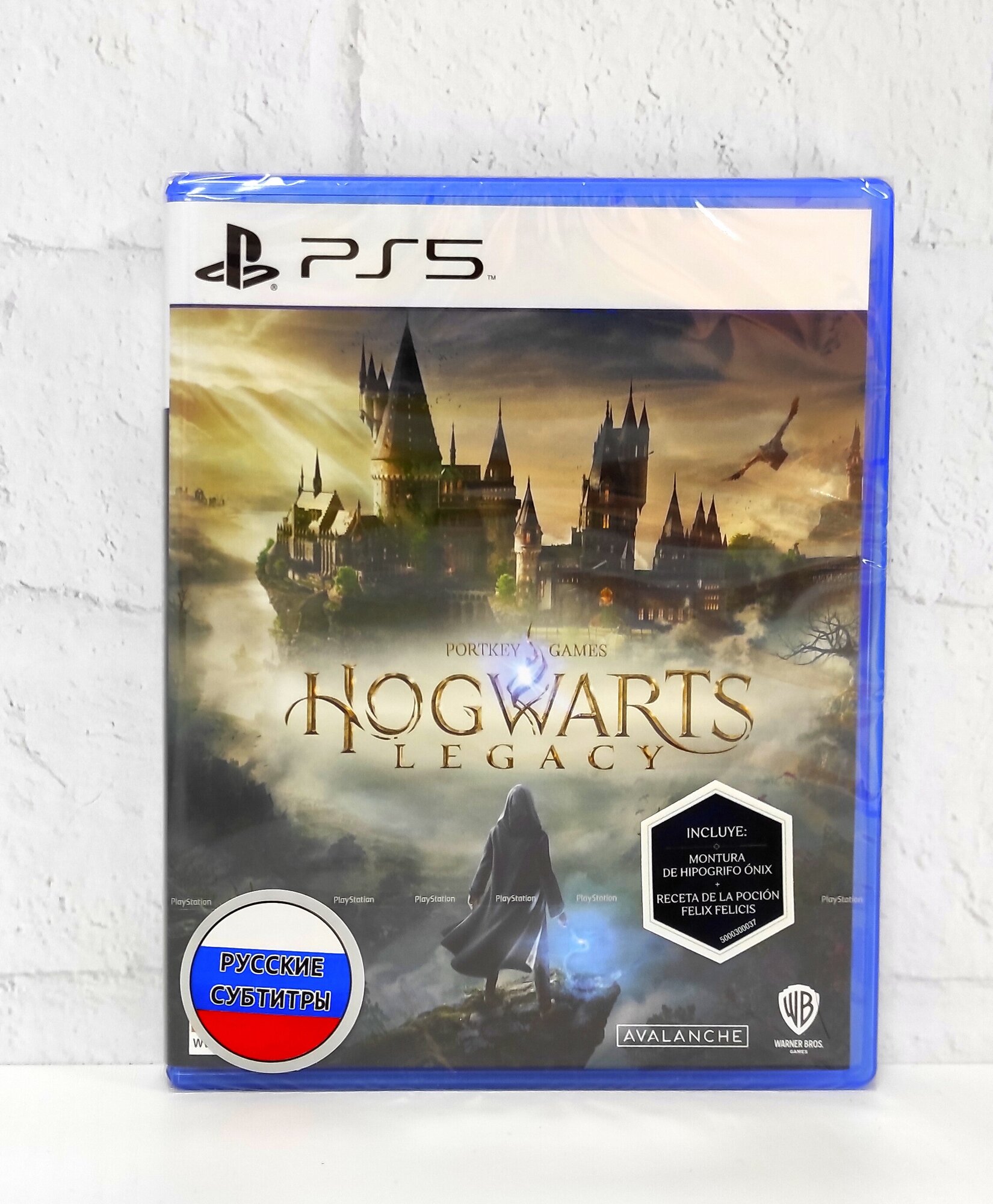 Игра Hogwarts Legacy