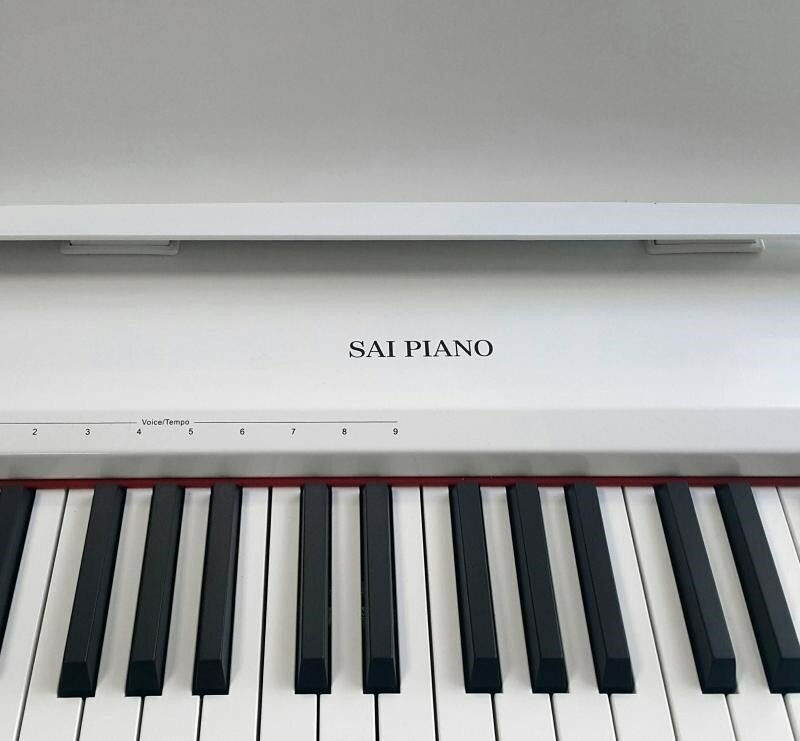 Цифровое пианино Sai Piano P-9BT