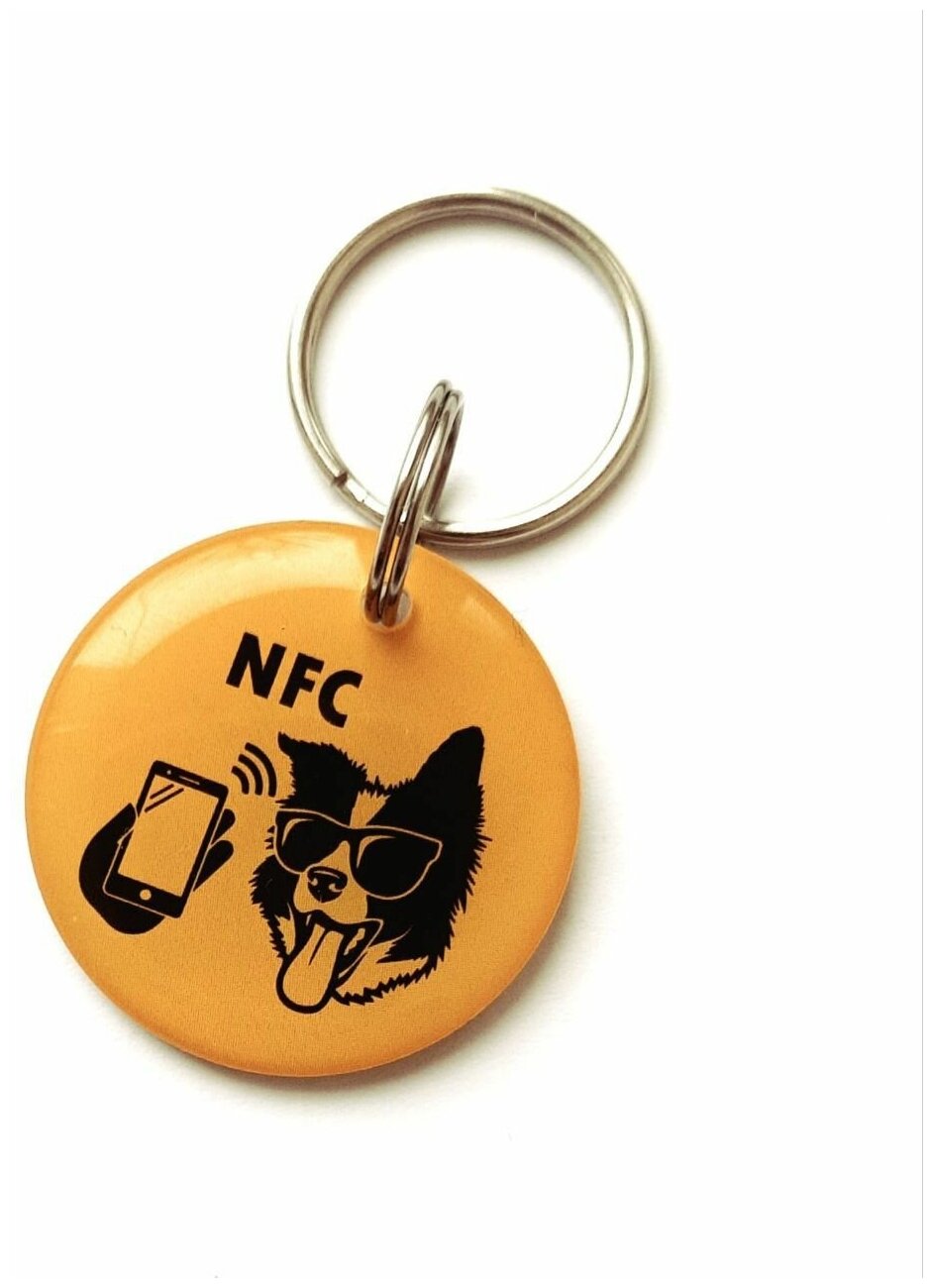 Адресник для собаки QR код + NFC на ошейник для собак брелок - фотография № 1