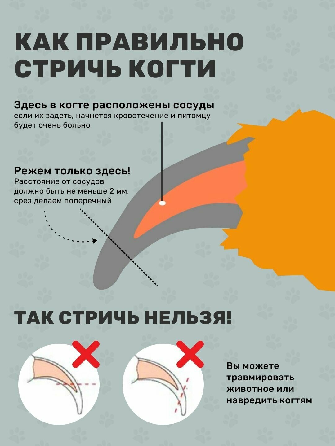 Когтерезка для кошек, собак / ножницы для стрижки когтей - фотография № 5