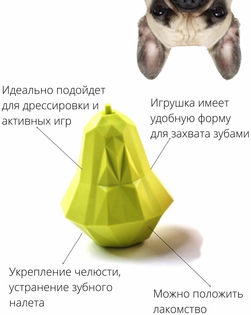 Игрушка для собак интерактивная пищевая - фотография № 3