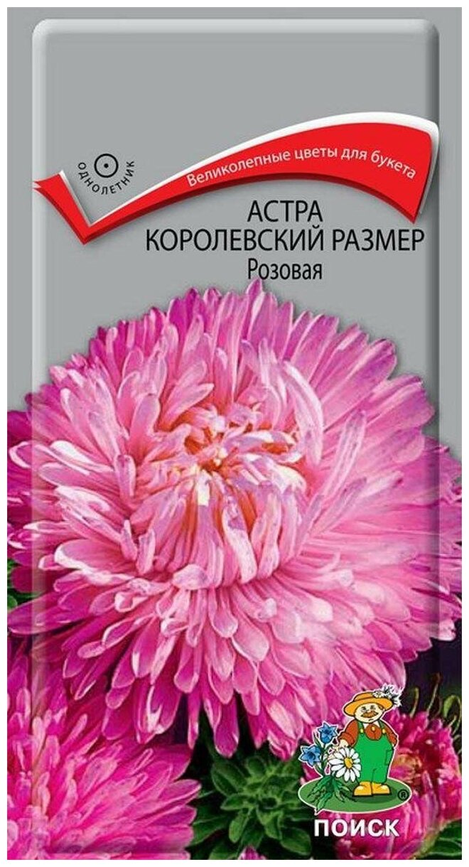 Астра Королевский размер Розовая пионовидная 0,1г Одн 100см (Поиск)