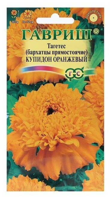 Семена Бархатцы "Купидон оранжевый" 005 г