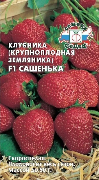 Семена Клубники (крупноплодной Земляники) Сашенька F1 (15 семян)