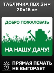 Табличка информационная прикольная садовая Добро пожаловать на нашу дачу 20х15 см