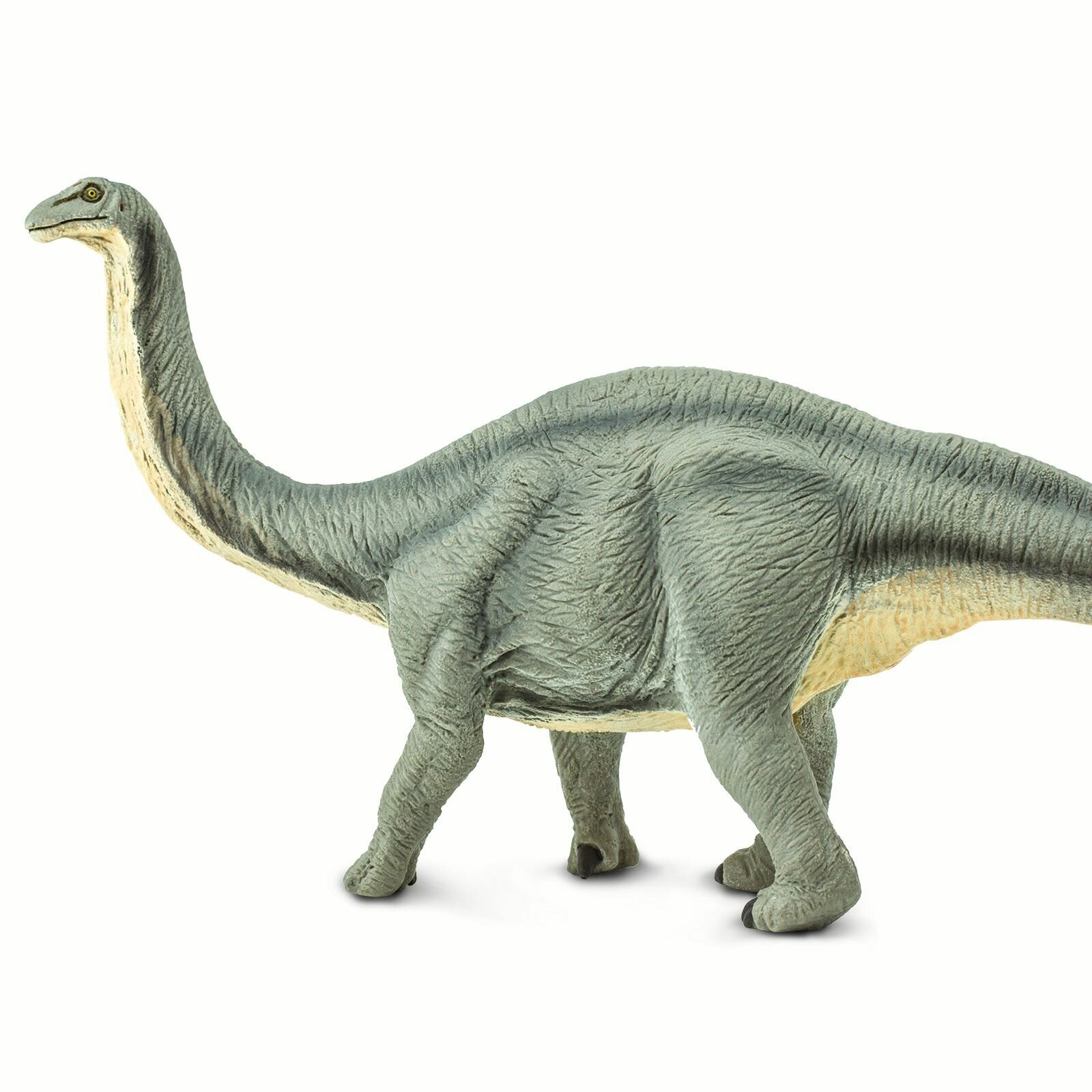 Фигурка животного динозавра Safari Ltd Апатозавр, для детей, игрушка коллекционная, 300429