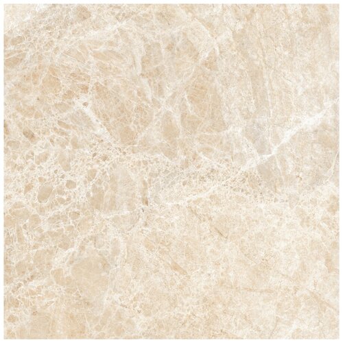 Керамогранит Neodom Emperador Beige Polished 60x60 CV20248 мрамор гладкая, глянцевая морозостойкая