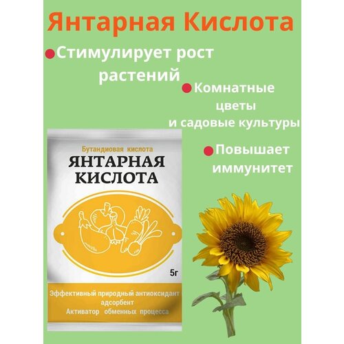 Янтарная Кислота, Бутандиовая 5 г янтарная кислота 2 г