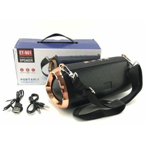 Портативная колонка ET-901 119300₽