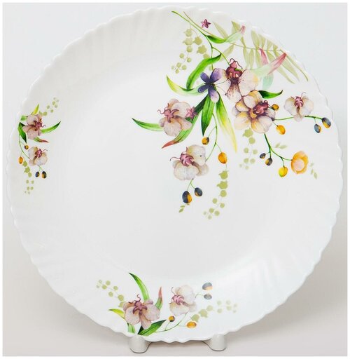 Тарелка обеденная столовая 24 см Английский Сад, стекло боросиликатное, мелкая белая, для подачи блюд и сервировки стола Венера