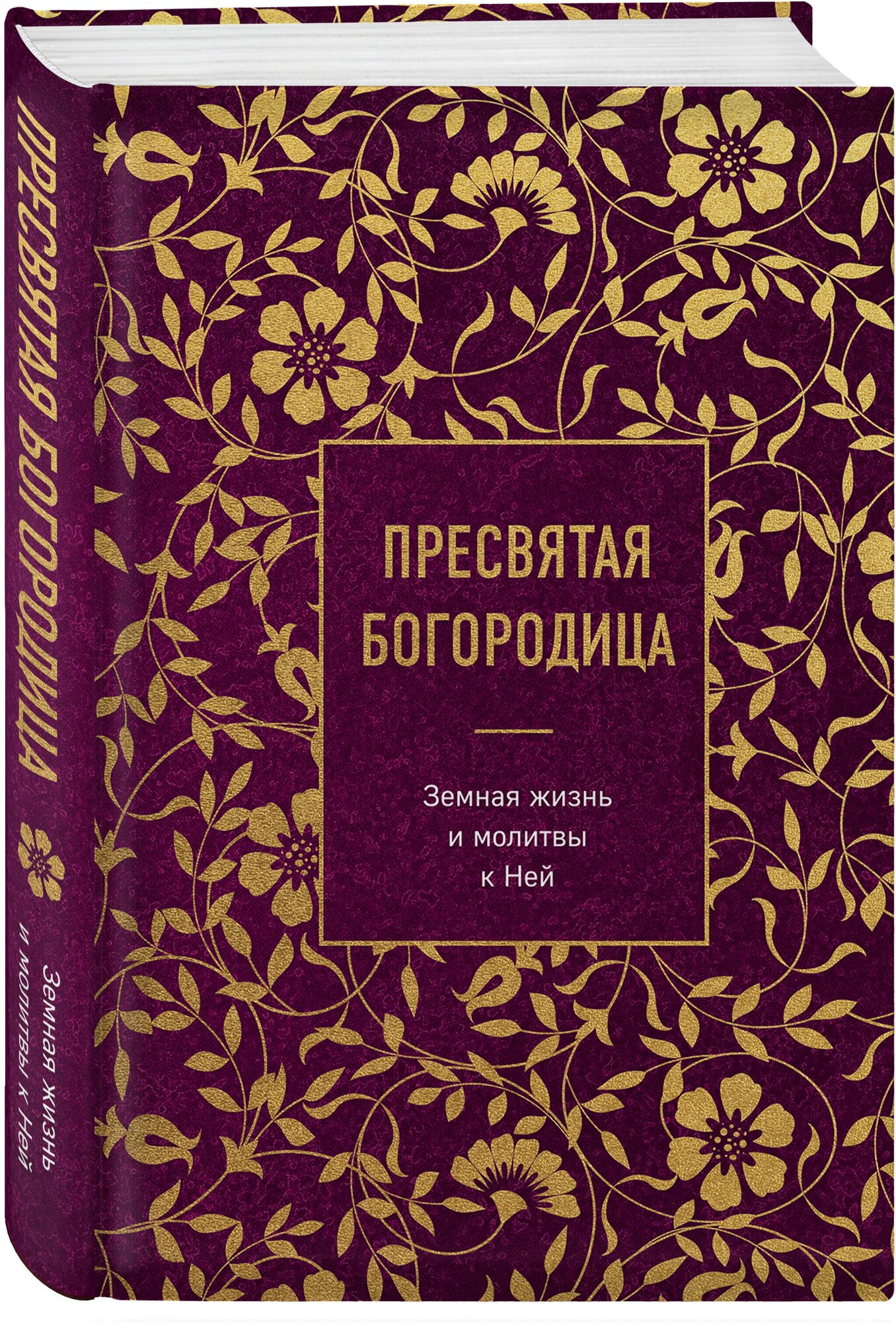 Пресвятая Богородица. Земная жизнь и молитвы к Ней - фото №1