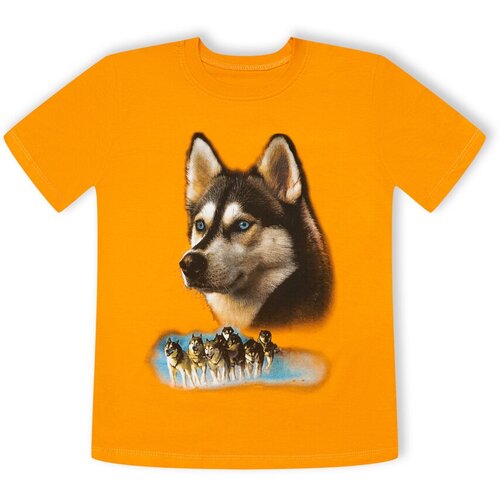 фото Футболка ronda, размер 140, желтый