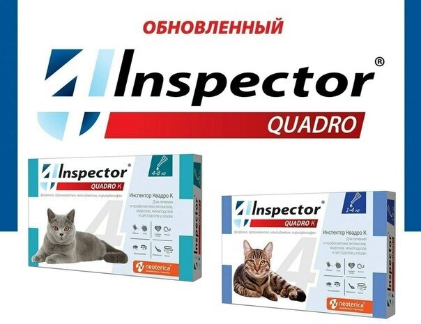 Inspector Quadro K от 1 до 4 кг, 1 шт.