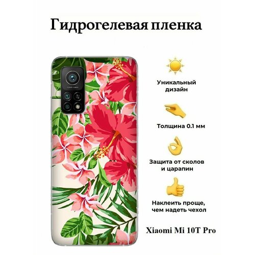 Гидрогелевая пленка на Xiaomi Mi 10T Pro на заднюю панель