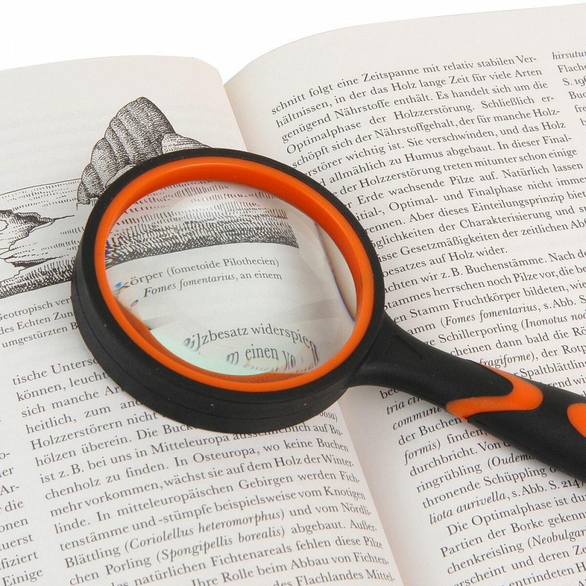 Лупа Veber с ручкой 65 (8х, 65мм), для чтения, 8x, круглая, стеклянная линза, пластик — фото 1