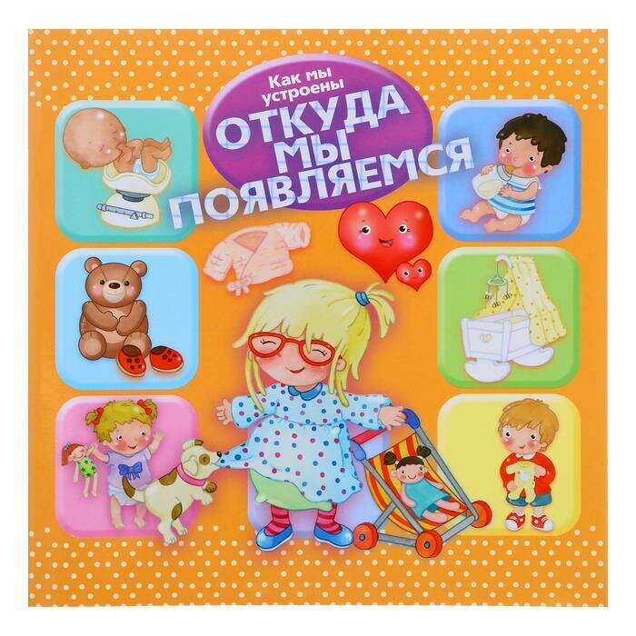 Как мы устроены. Откуда мы появляемся - фото №1