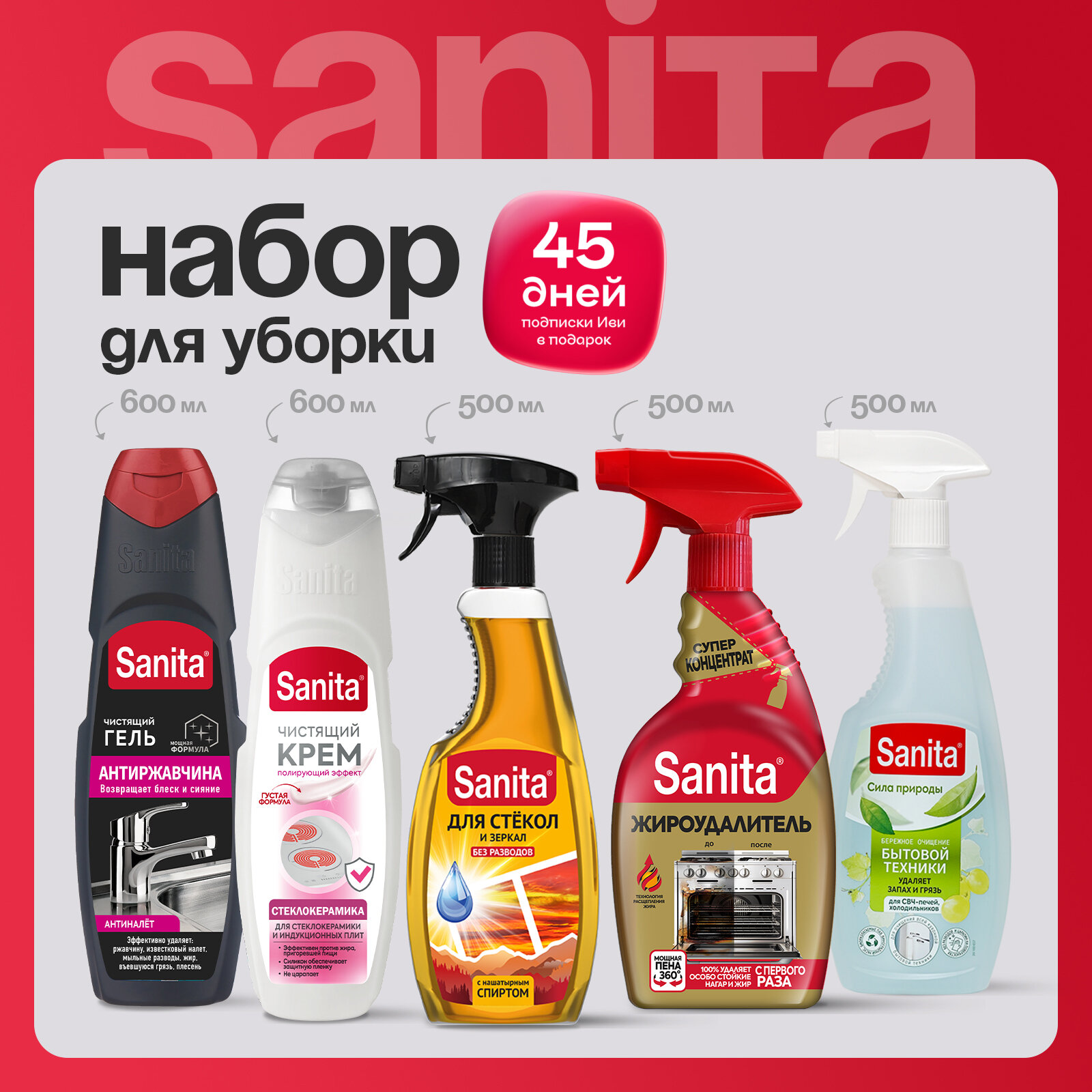 Sanita Набор чистящих средств ( 5 шт )