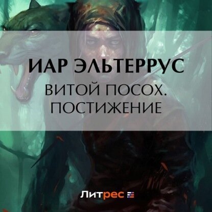 Витой Посох. Постижение [Аудиокнига]
