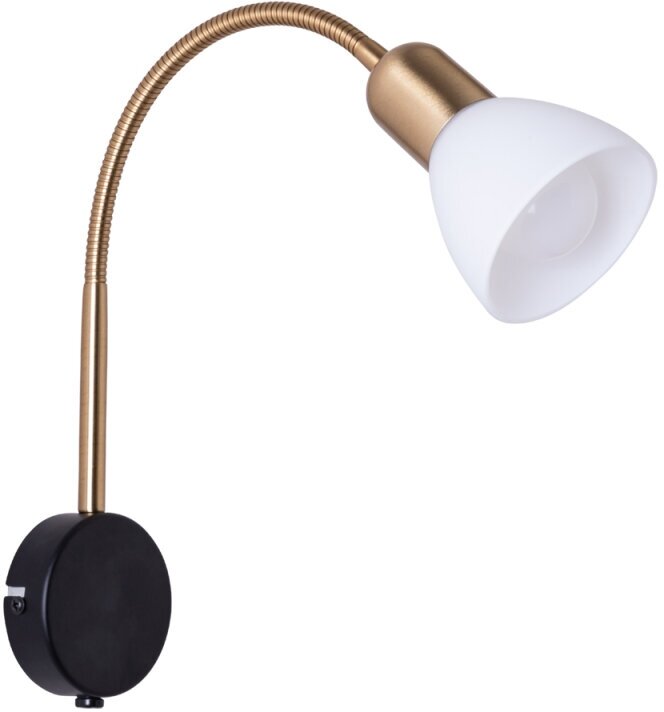 Спот Arte Lamp Falena A3116AP-1BK