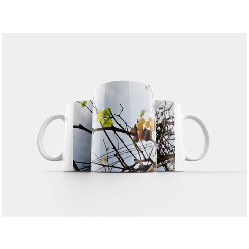 фото Кружка "виноград, фрукты, завод" 320 мл lotsprints