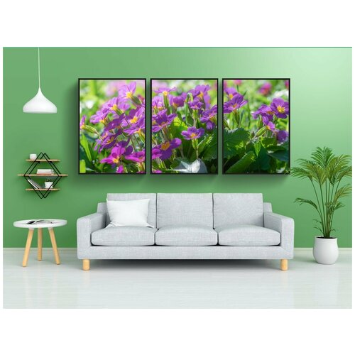 фото Набор модулных постеров для интерьера "первоцветы, примула обыкновенная гибридная, фиолетовый" 60x90 см. в тубусе, без рамки lotsprints