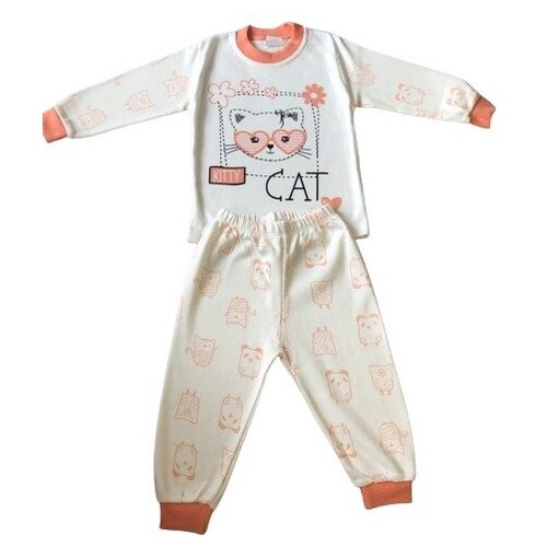 Комплект кофта и штанишки, 12 мес, 80 см