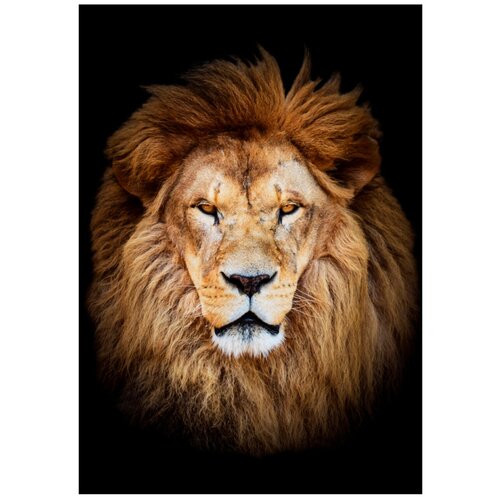 Картина на холсте 40x57 см 