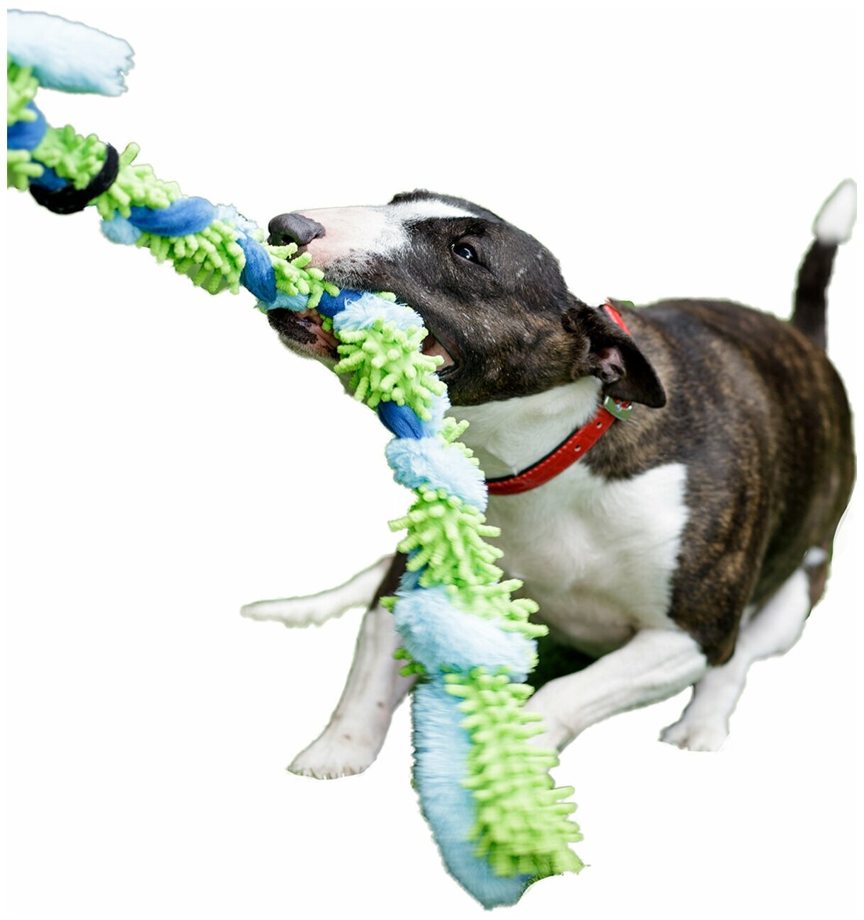 Игрушка для собак Japan Premium Pet в виде стрейч-веревки с функцией чистки зубов, зеленая. - фотография № 19