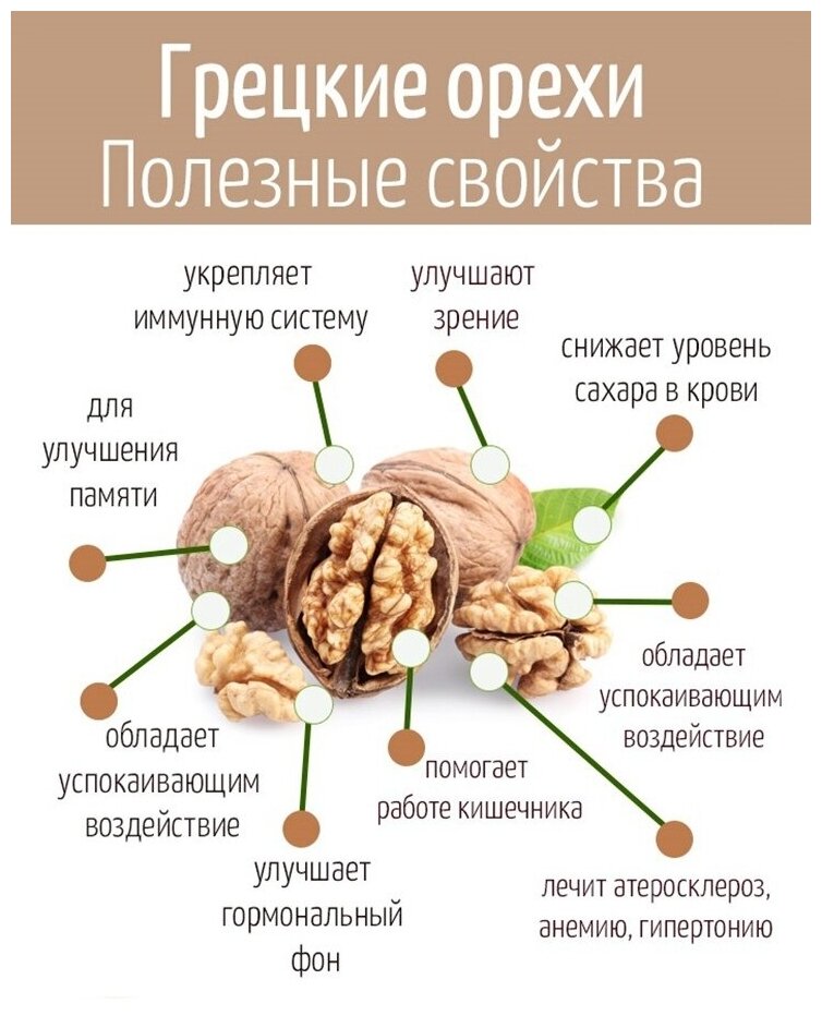 Исследовательский проект грецкие орехи Обзоры модели Грецкие орехи, орех очищенный грецкий, светлые ядра, половинки, 1 