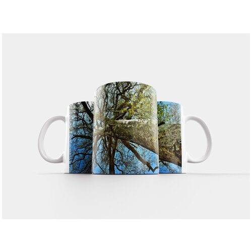 фото Кружка "дерево, пейзаж, природа" 320 мл lotsprints