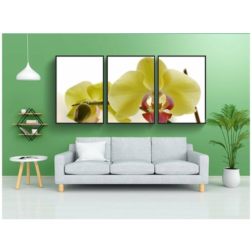 фото Набор модулных постеров для интерьера "орхидея, цветы, макро" 60x90 см. в тубусе, без рамки lotsprints