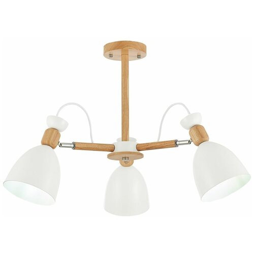 Потолочная люстра Evo Luce SLE103802-03