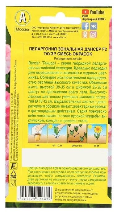 Семена цветов Пеларгония "Дансер Тауэр", смесь окрасок, F2, 5 семян в упаковке, 4657944