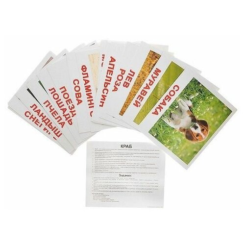 Набор обучающих карточек МОИ первые знания