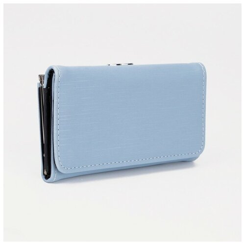фото Кошелек , на магните, 2 отделения для банкнот, отделение для монет, голубой, зеленый нет бренда
