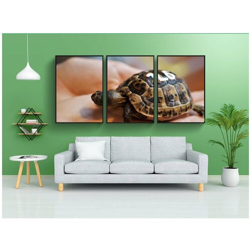фото Набор модулных постеров для интерьера "щенок, черепаха, террариум" 60x90 см. в тубусе, без рамки lotsprints