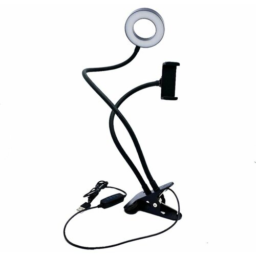 Светодиодная лампа кольцевая Professional Live Stream 9 см 190000₽