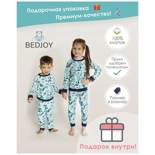 Пижама BedJoy, манжеты, без карманов, брюки с манжетами, размер 122, голубой, мультиколор