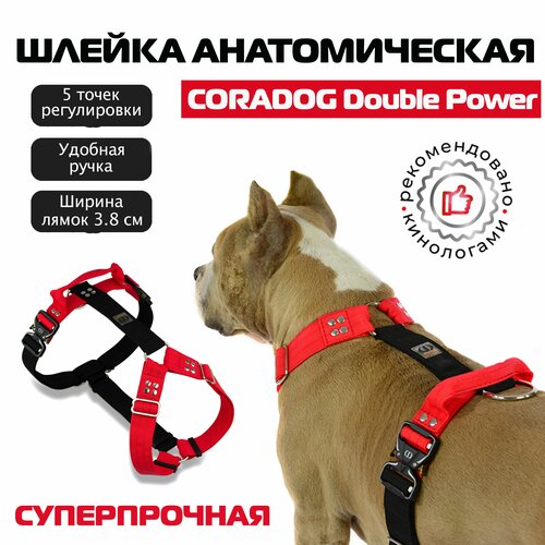 Шлейка с ручкой для собак прогулочная анатомическая, для ЗКС, тренировок, CORADOG Double Power для крупных и средних собак, размер M, черный, красный