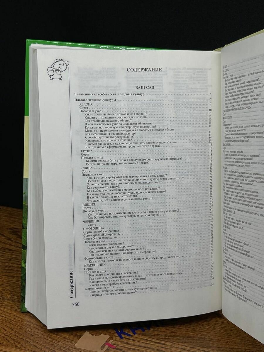 1200 вопросов и ответов. Все о саде и огороде - фото №7