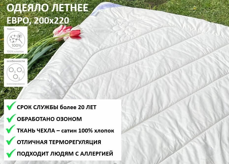 Одеяло летнее ORGANIC/коттон, Евро, 200х220, ультратонкое, наполнитель хлопковый пласт, чехол натуральный хлопок сатин