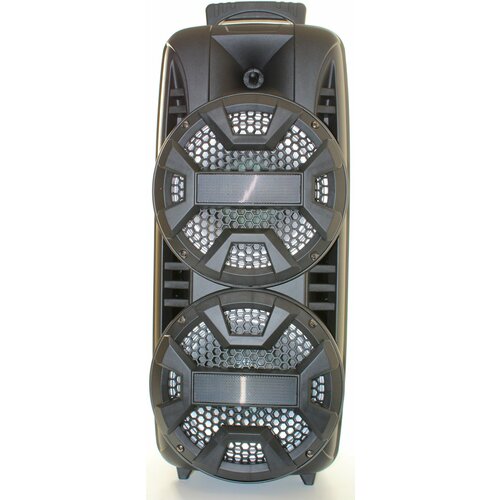 Напольная колонка LT-2805 Черная 696600₽