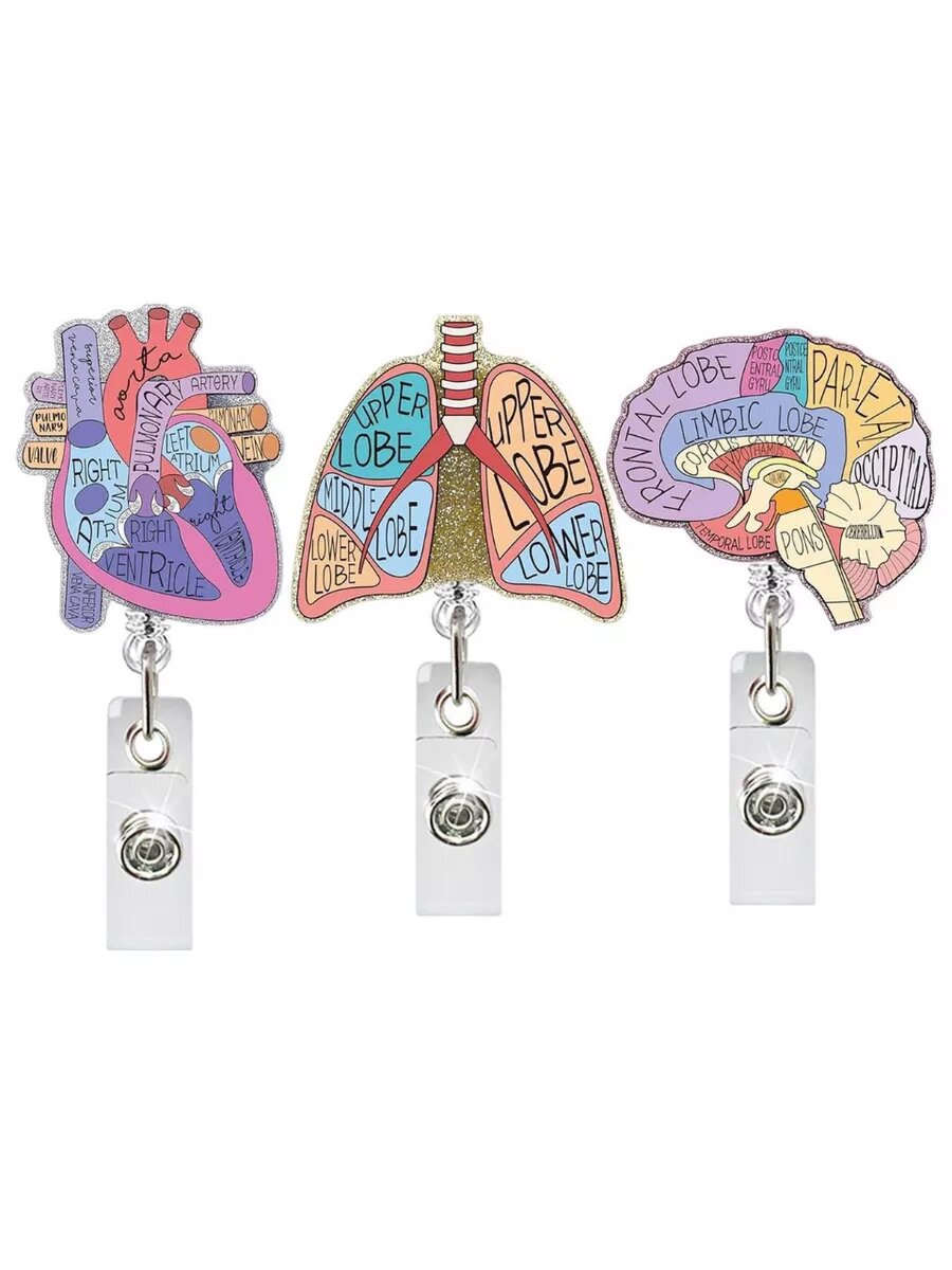 Насадка на бейджик на работу в виде мозга с описание разделов — фото 1